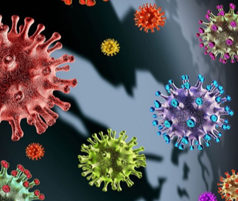 Update 80: What we know about new COVID-19 Variants of Concern - the latest on the global situation & Omicron BA.4/5