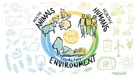 EPI-WIN digest 4 - Emerging zoonotic diseases and the​ One Health approach:​​ An overview