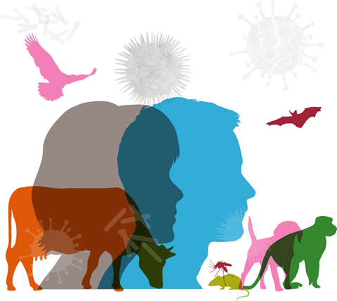 EPI-WIN digest 2 - Operationalizing the One Health approach in countries to improve preparedness for zoonotic diseases