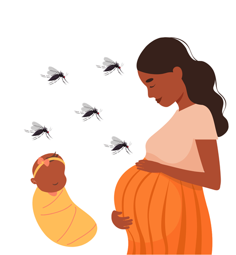 EPI-WIN digest 7 - Zika virus disease