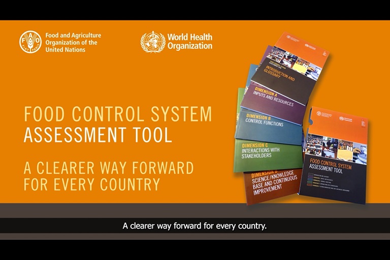 Launch of the Food control system assessment tool flyer