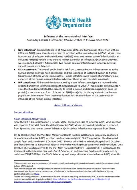 Influenza at the human-animal interface summary and assessment, 11 November 2022