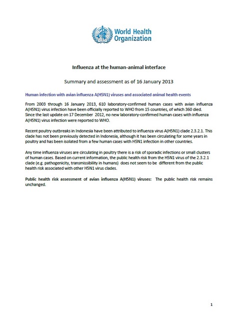 Influenza at the human-animal interface summary and assessment, 16 January 2013