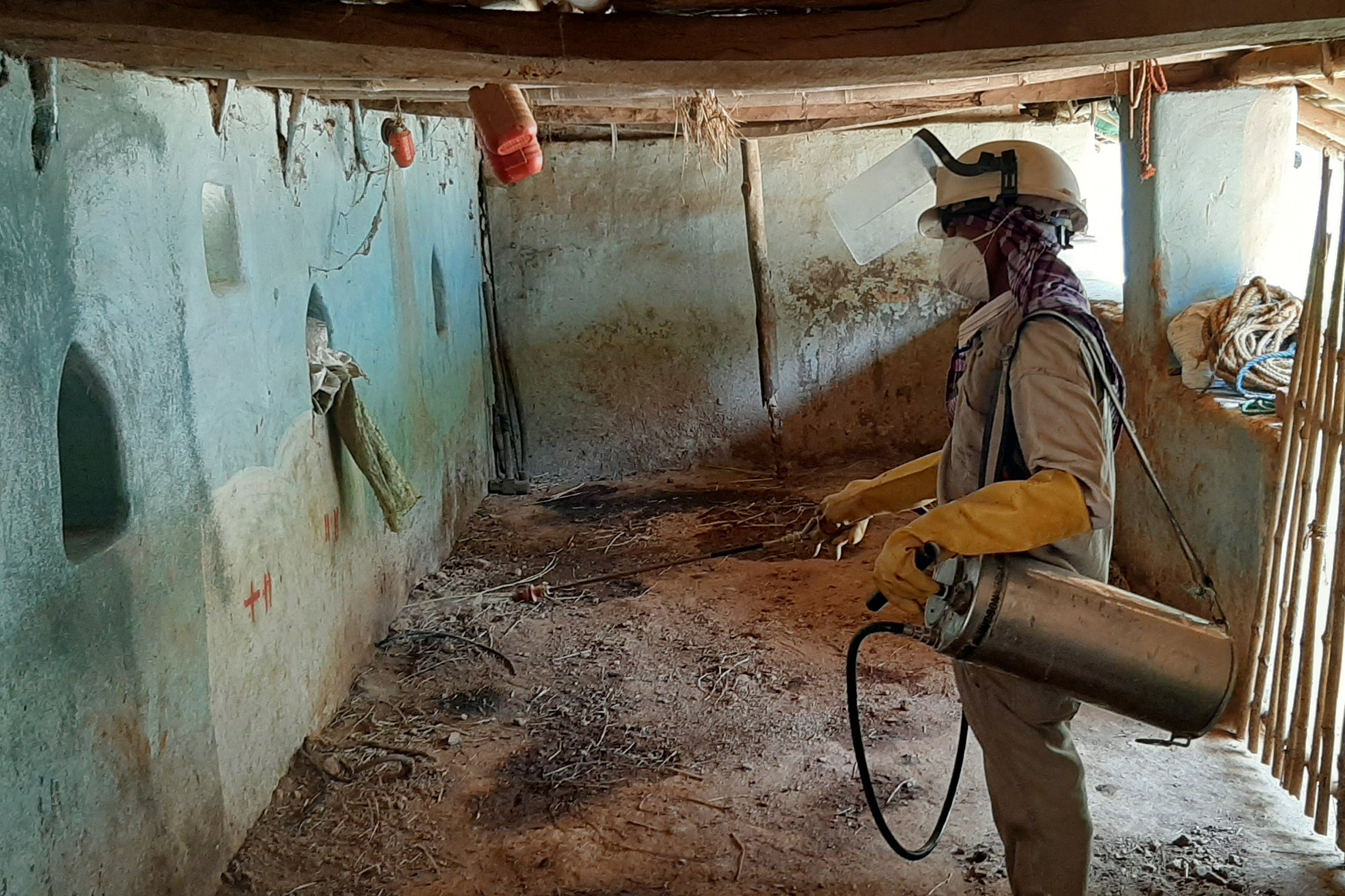 Indoor residual spraying for vector control in a high kala-azar endemic village.