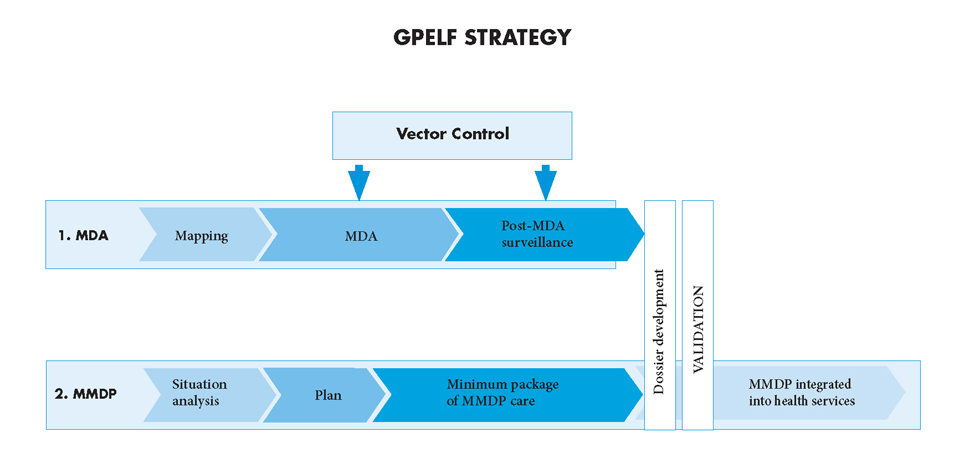 Global-Programme-to-Eliminate-Lymphatic-Filariasis-strategy-Scheme