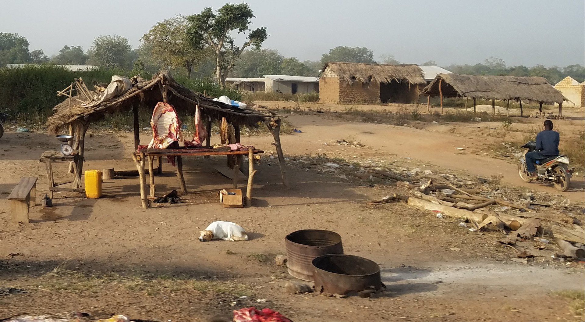 A dog guards a local meat stand in the field