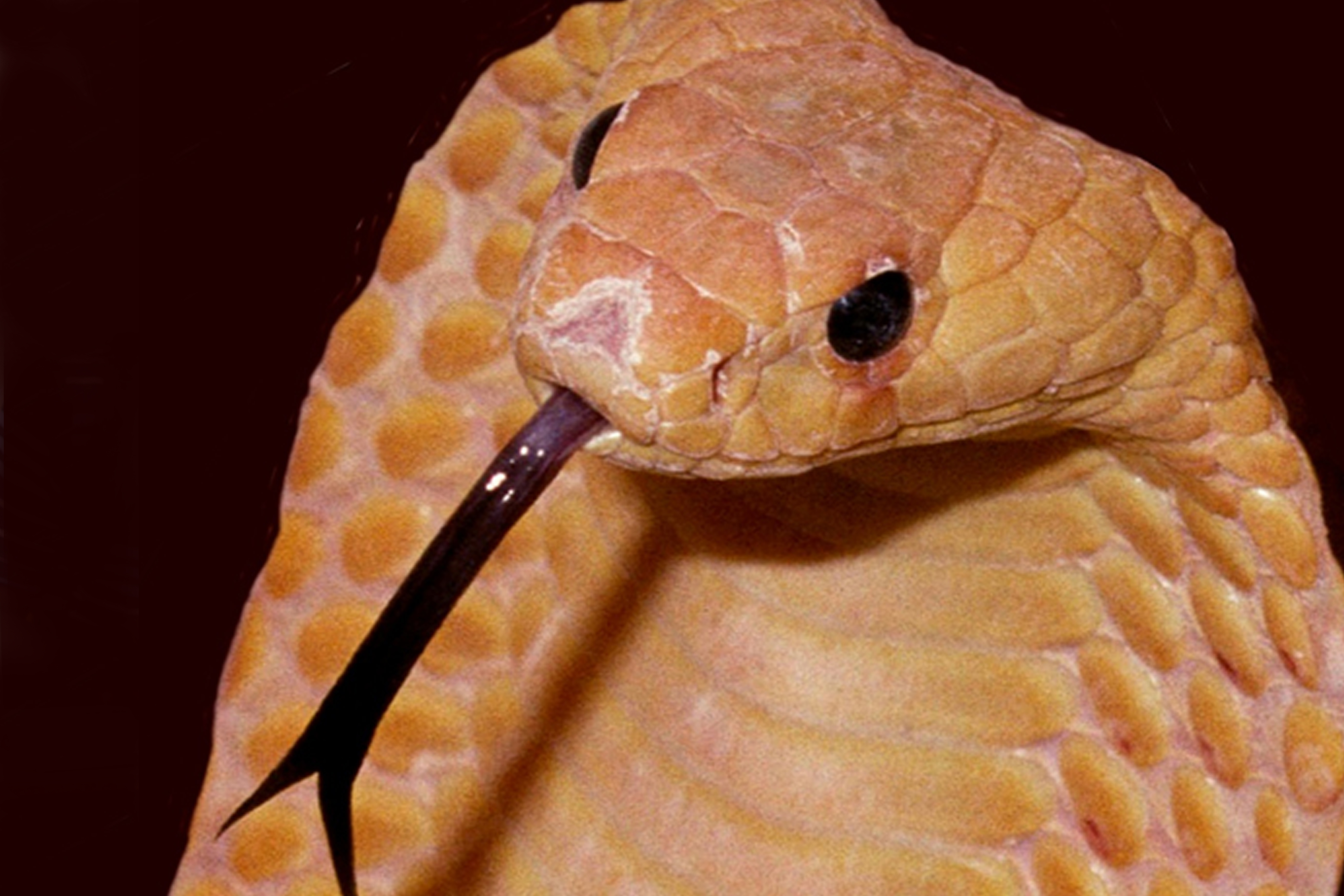 308961_4367912700_94knj_n