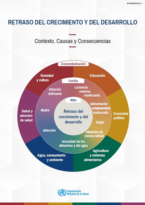 Retraso del crecimiento en la niñez: Contexto, Causas y Consecuencias