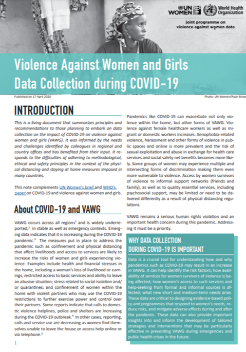 Violence Against Women and Girls: Data Collection during COVID-19