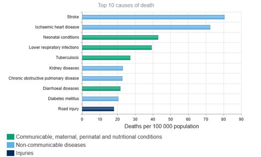 The top 10 causes of death in Lao PDR all have established links to poor solid waste management..