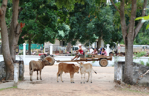 20180528-khamxay-and-phet-480 20180528-khamxay-and-phet-480