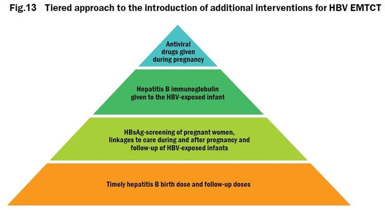 Figure 13 Tiered approach to the introduction of additional interventions for HBV EMTCT