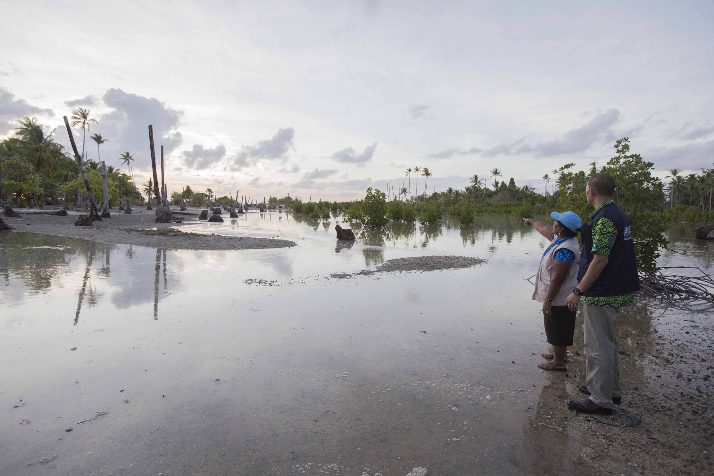 WHO’s Dr Takeshi Kasai visiting coconut groves killed by salt water intrusion on Kiribati’s Abaiang Island, near relocated Tabunginkao Village